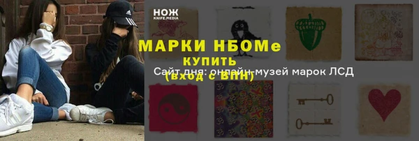 дживик Бронницы